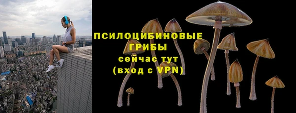 гашик Арсеньев