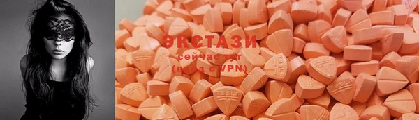 гашик Арсеньев