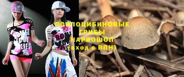 эйфоретик Аркадак