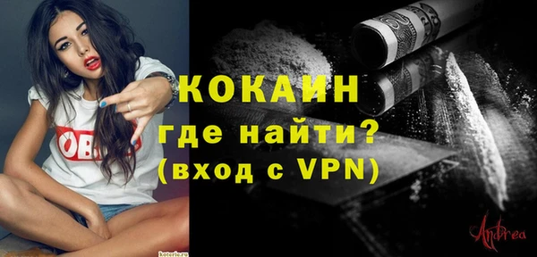 гашик Арсеньев