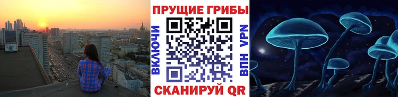 МЕГА ссылки  Губаха  Псилоцибиновые грибы мицелий 